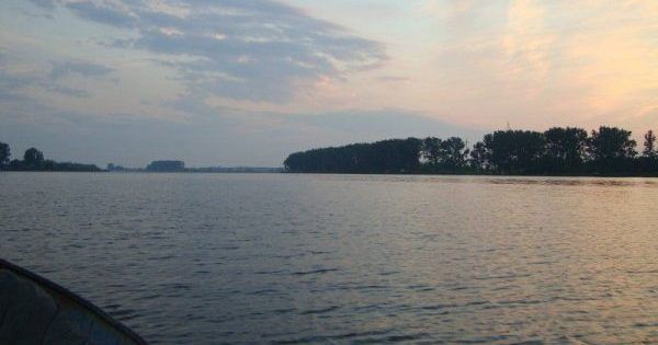 Папа не спас добротвор