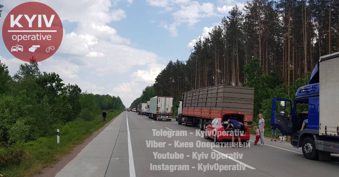 Страшна ДТП на Житомирщині: двоє людей згоріли у власному авто ДТП на Варшавській трасі