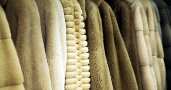 Нардепы задекларировали 84 шубы