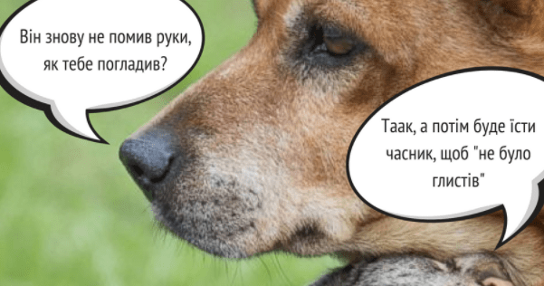 Часник не врятує від глистів! Супрун у карикатурі спростувала міф Зараження гельмінтами