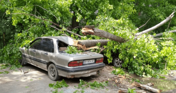 Ураган в Одесі повалив дерева: розчавлені 5 авто Ураган в Одесі
