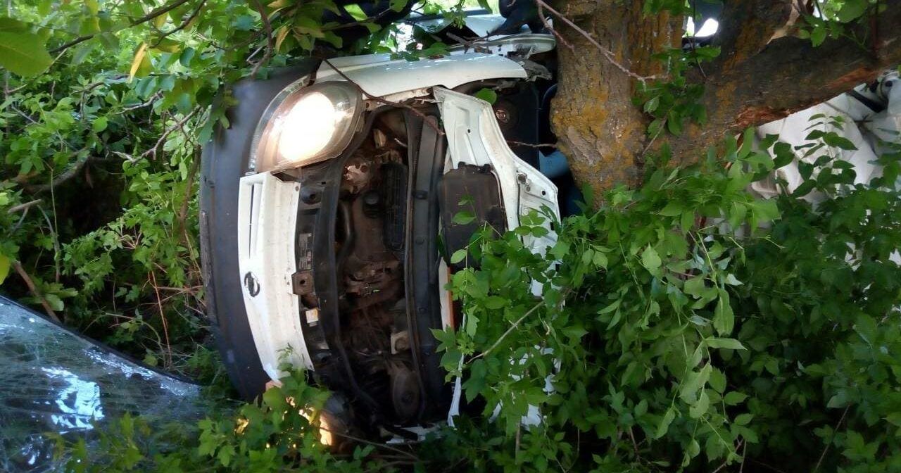 У Миколаївській області авто врізалося в дерево ДТП