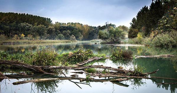 В Украине утонули пятеро детей за сутки Річка