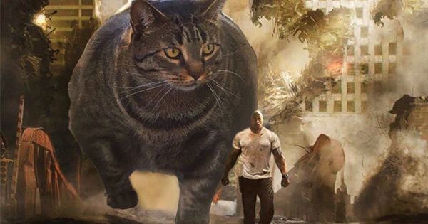 Подкачанный или жирный? Кот-бодибилдер стал мемом из-за мускулатуры