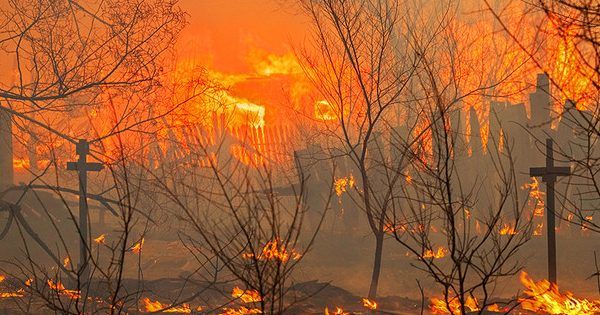 У РФ вирішили не гасити 13 лісових пожеж через високі витрати лесные пожары