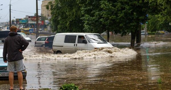 Маршрутки-амфібії і повалені дерева