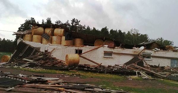 Польщу накрив шторм: дерево вбило заступника мера