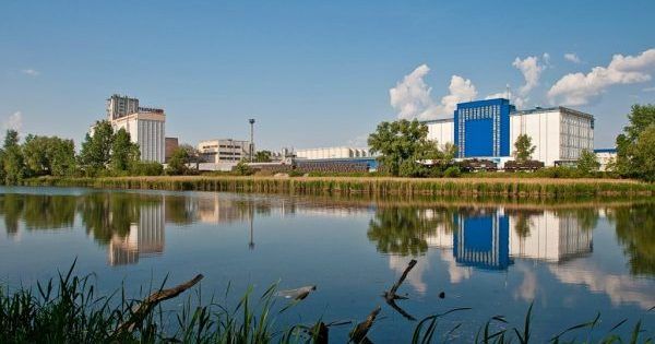 У київському озері знайшли труп чоловіка в киеве утонул мужчина