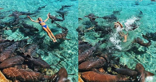 Акула напала на известную Instagram-модель прямо на съемках