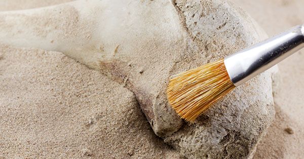 Знайдено найдавніший запис Одіссеї Гомера