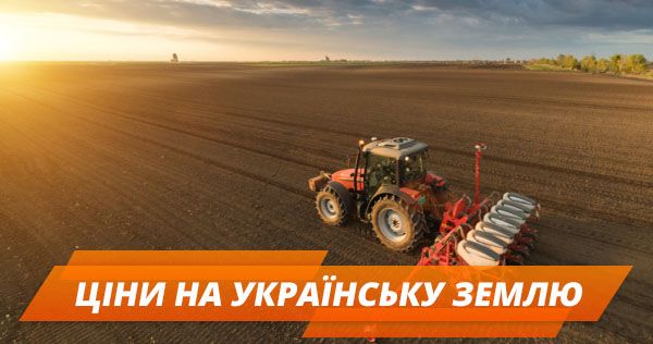 Продаж та оренда землі в Україні: чому українці втрачають мільйони і що робити