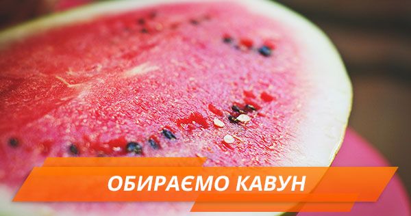 Як обрати кавун і не отруїтися нітратами (ІНФОГРАФІКА) Як правильно обрати кавун
