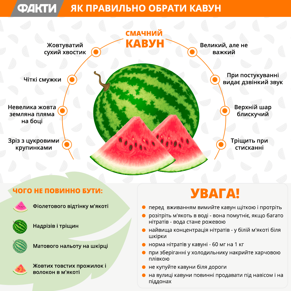 Значення білих прожилок в кавуні