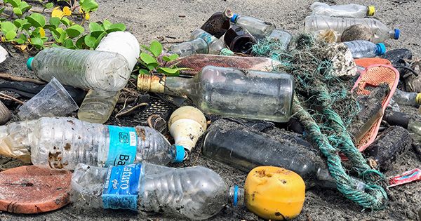 У Києві побудують новий сміттєпереробний завод і закриють полігон №5