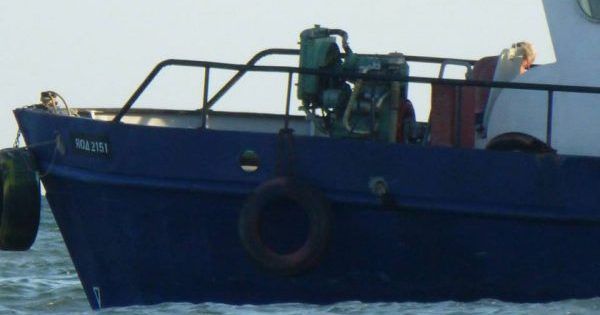 В Украине неизвестные незаконно вылавливали дельфинов