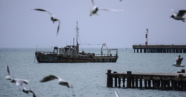 Экокатастрофа в Крыму: сколько лет уйдет на восстановление полуострова Крим