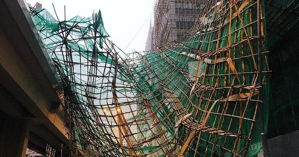 Летающие люди и тучи из птиц: тайфун Мангхут накрыл Китай