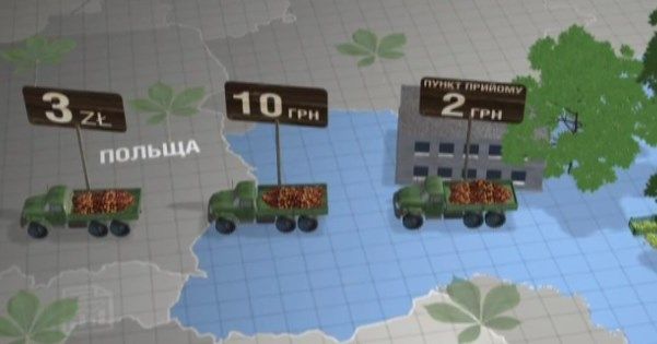 Выгодное дело. Как устроен каштановый бизнес в Украине