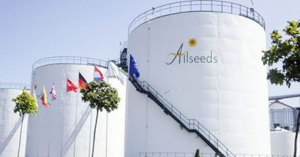 Группа Allseeds: Капитализация доверия и эффективности Фото 2 Група Allseeds: Капіталізація довіри та ефективності Фото 2