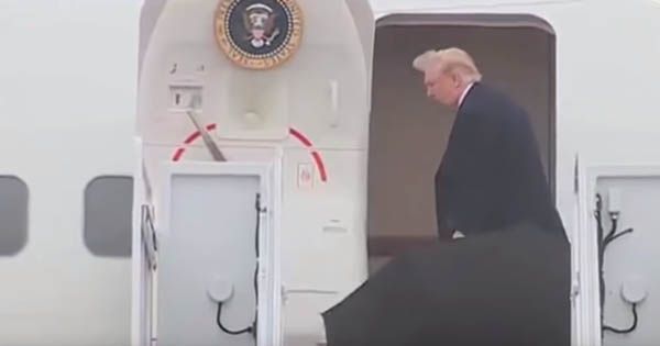 Зробити парасольку знову великою! Трампа спіткав черговий конфуз