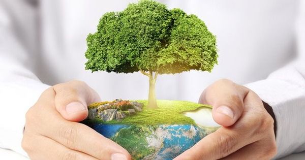 Експерт розповів, як політики заробляють бали на екології України