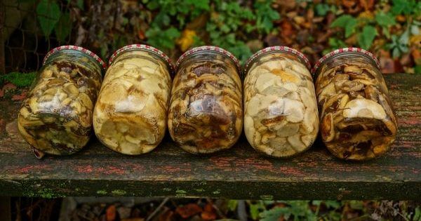 Ð£ Ð’Ñ–Ð½Ð½Ð¸Ñ†Ñ– Ñ€Ð¾Ð´Ð¸Ð½Ð° Ð¾Ñ‚Ñ€ÑƒÑ—Ð»Ð°ÑÑ ÐºÐ¾Ð½ÑÐµÑ€Ð²Ð¾Ð²Ð°Ð½Ð¸Ð¼Ð¸ Ð³Ñ€Ð¸Ð±Ð°Ð¼Ð¸ â€“ ÑÑ–Ð¼ Ð¾ÑÑ–Ð± Ñƒ Ñ€ÐµÐ°Ð½Ñ–Ð¼Ð°Ñ†Ñ–Ñ—