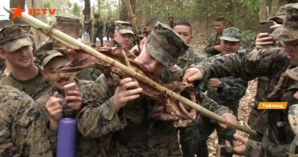 Съесть скорпиона и выпить кровь кобры: военные учения в Таиланде