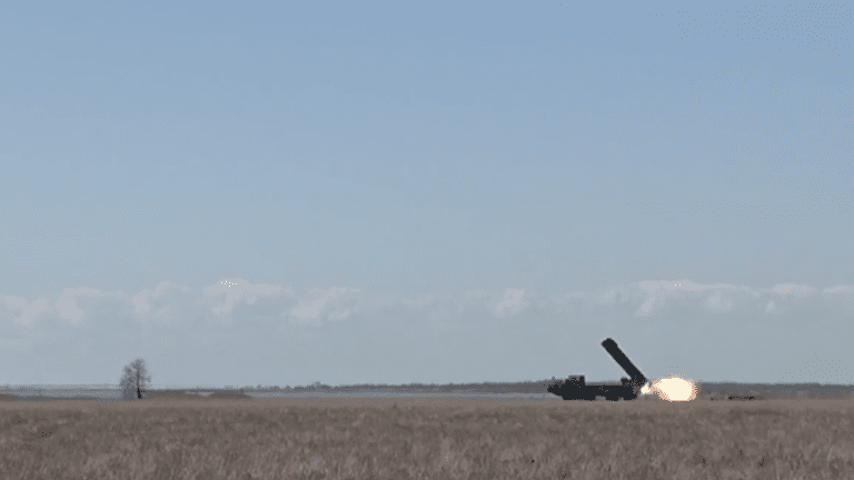 Вільха М