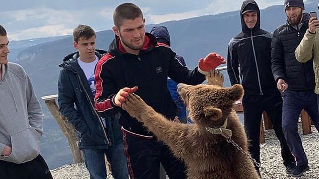Хабиб Нурмагомедов и медведь
