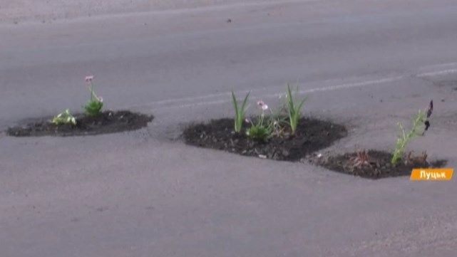 В Луцке люди борются с ямами на дорогах