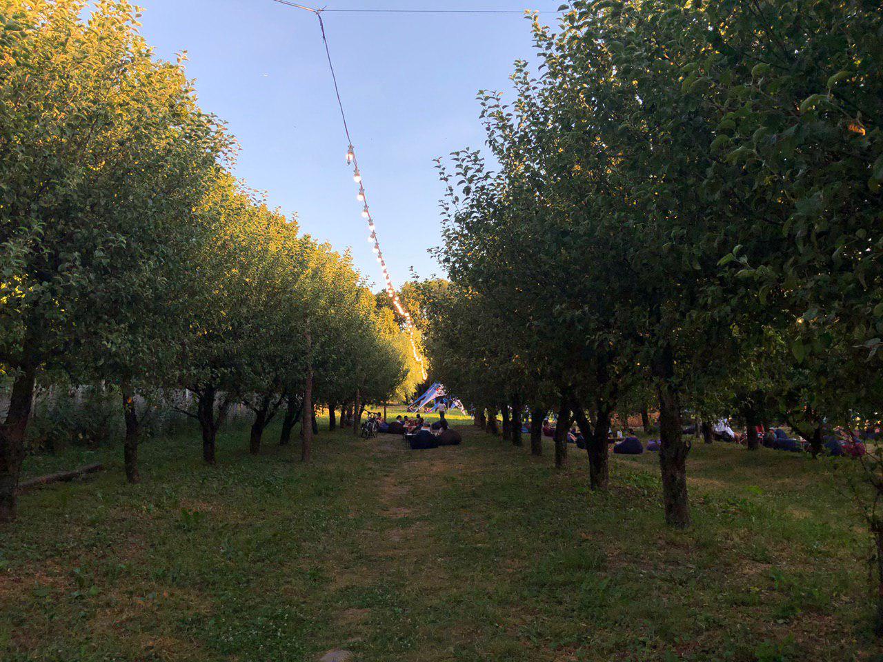 сад гамаків3