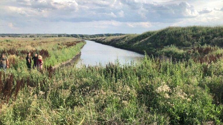 Прыгнул в воду и не вынырнул — в Одесской области в пруду утонул 7-летний мальчик