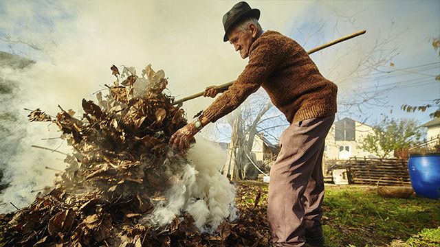 Штрафы не помогают: в Украине продолжают незаконно сжигать листья