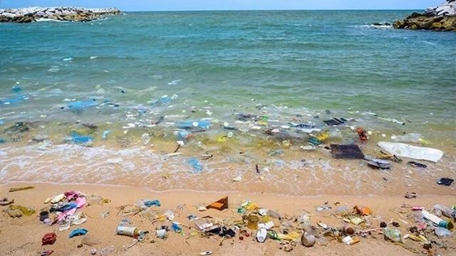 Побережье возле Одессы самое грязное на все Черное море — ученые