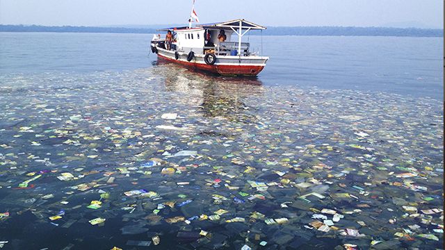 Через 20 років людство може опинитися на межі голоду – екологи