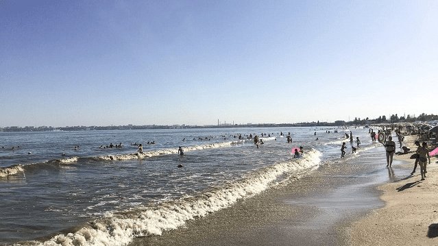 Ног не видно: в Одессе почернело море