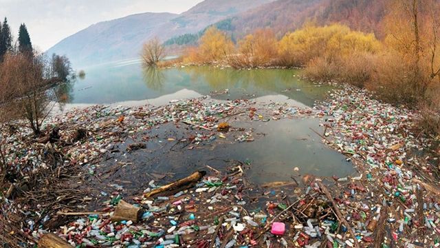 Як сортують сміття в Україні