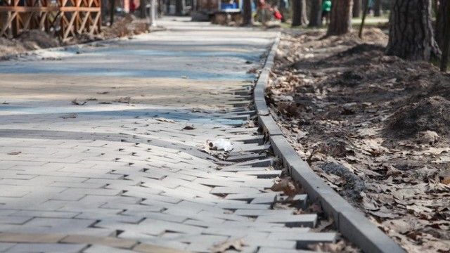 Чиновник Київзеленбуду привласнив 10 млн грн, виділених на ремонт парку