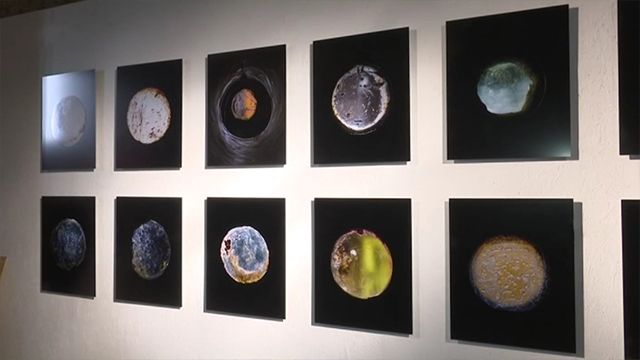 Вживили мистецтво туди, де його ніколи не було. У Харкові відкрилась бієнале