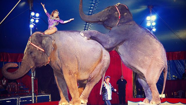 Cirque du Soleil уникнув банкрутства