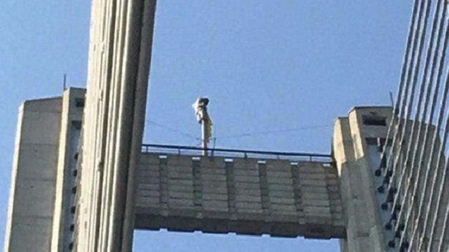 Втілювали мрію: в Києві з Південного мосту зняли трьох осіб