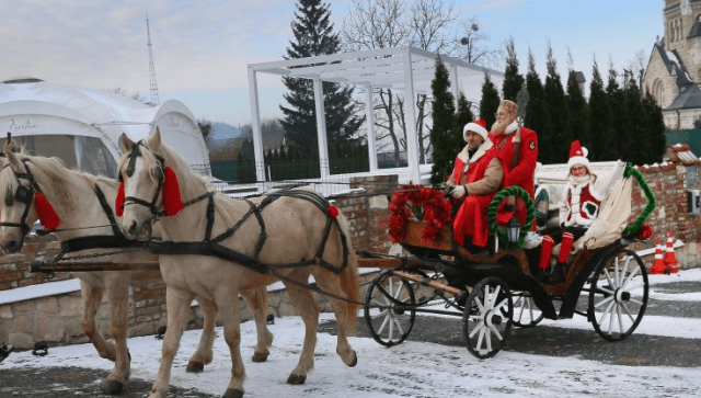 Напуганные лошади травмировали подростка: во Львове запретили работу карет Напуганные лошади травмировали подростка: во Львове запретили работу карет