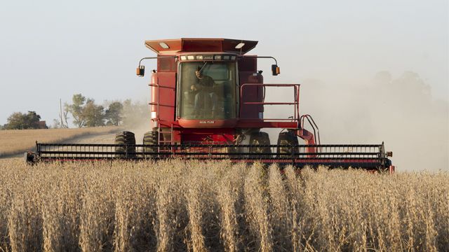 ринок землі