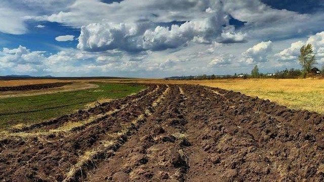 Гектари для українців: Милованов пояснив, як працюватиме вільний ринок землі