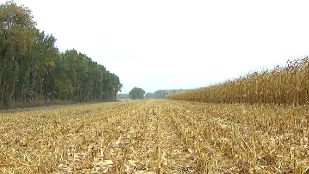 Чи потрібен земельний референдум і на що він впливатиме