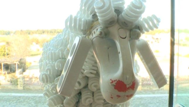 Спортивний одяг, піддони та композиції. Що роблять зі сміття в Азербайджані