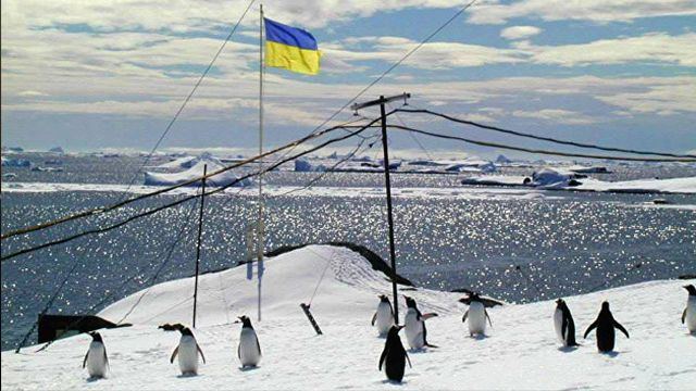 Українці в Антарктиді: чим займаються та як допомагає держава