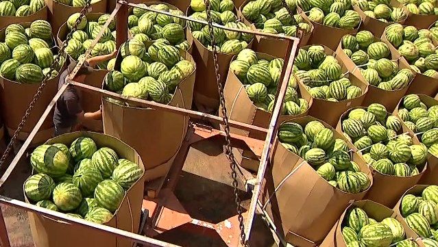 Херсонські кавуни і вина Бесарабії: які українські продукти можуть стати брендом