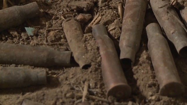 новости оос