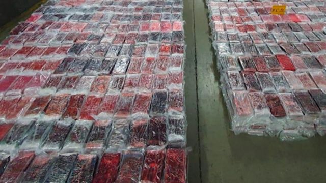 С Коста-Рики в Роттердам хотели отправить рекордную партию кокаина — 5 тонн